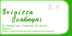 brigitta csaknyai business card